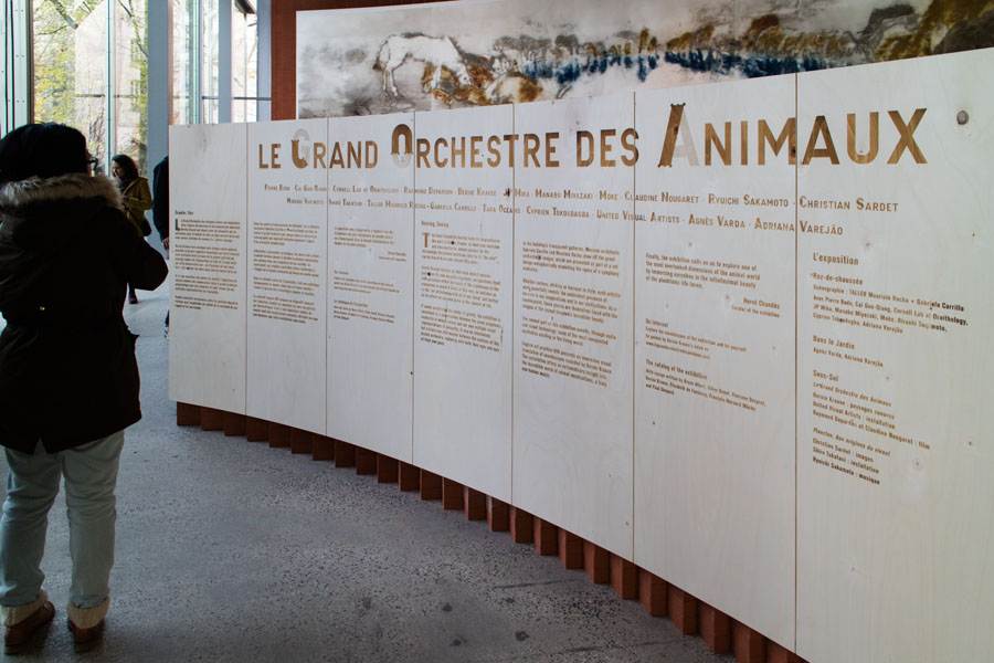 2016 - Le Grand Orchestre des Animaux