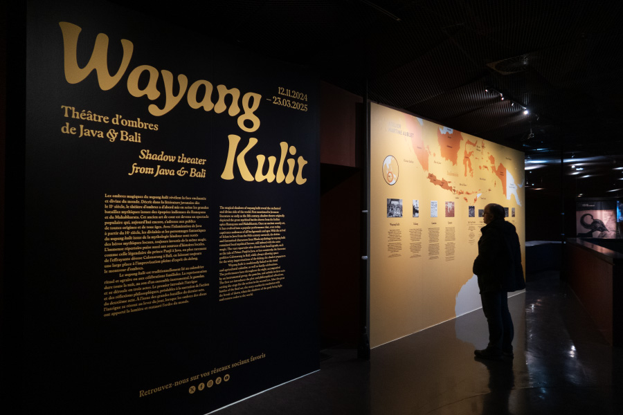 Wayang Kulit – Théâtres d'ombres de Hava et Bali