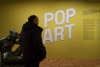 Pop Art - Icons that matter