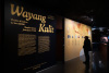 Wayang Kulit  Thtres d'ombres de Hava et Bali